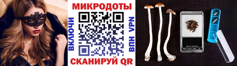 Галлюциногенные грибы ЛСД Гвардейск