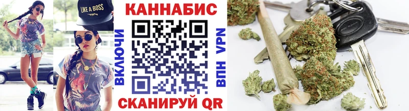 Конопля семена  даркнет сайт  Гвардейск 
